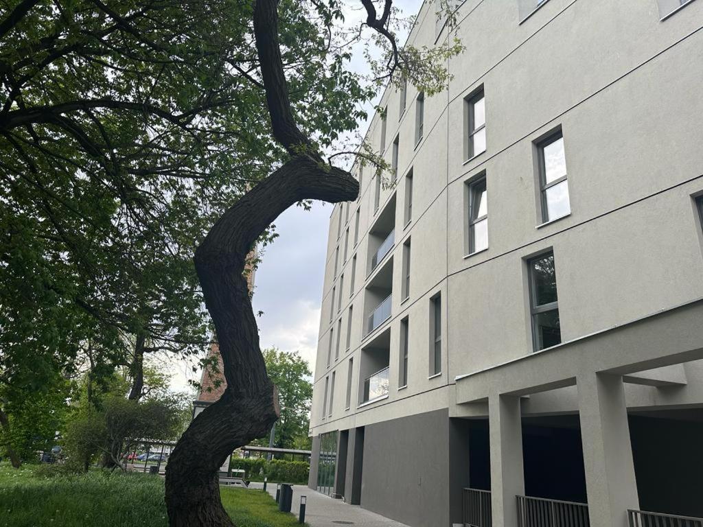 Apartament Centrum II Bydhošť Exteriér fotografie